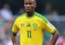 I-FIFA isiqinisekise isijeziso somdlali weBafana