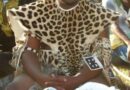 Ibhekwe ngabomvu inhlangano entsha yamakhosi