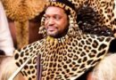 ISilo samaZulu sisolwa ngokuhlambalaza undlunkulu noNyazi
